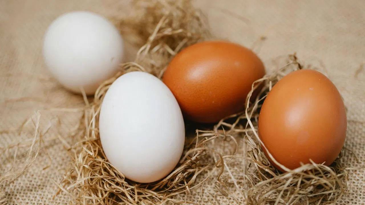 FSSAI च्या मते, पोल्ट्री आणि अंडी उत्पादनात नायट्रोफ्यूरानचा वापर पूर्णपणे प्रतिबंधित आहे. कुठेही ट्रेस आढळले तरी ते वेगळ्या प्रकरणांपुरते मर्यादित असते आणि ते सर्व अंड्यांना लागू होत नाही. वैज्ञानिक पुराव्यांनुसार, इतकी कमी मात्रा कॅन्सर किंवा इतर कोणत्याही आरोग्य समस्या निर्माण करत नाही.