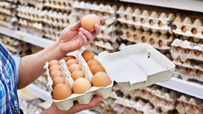 LPG सिलेंडरची टंचाई तर दुसरीकडे आनंदवार्ता धडकली, अंड्यांचे भाव का झाले कमी? का आली स्वस्ताई?