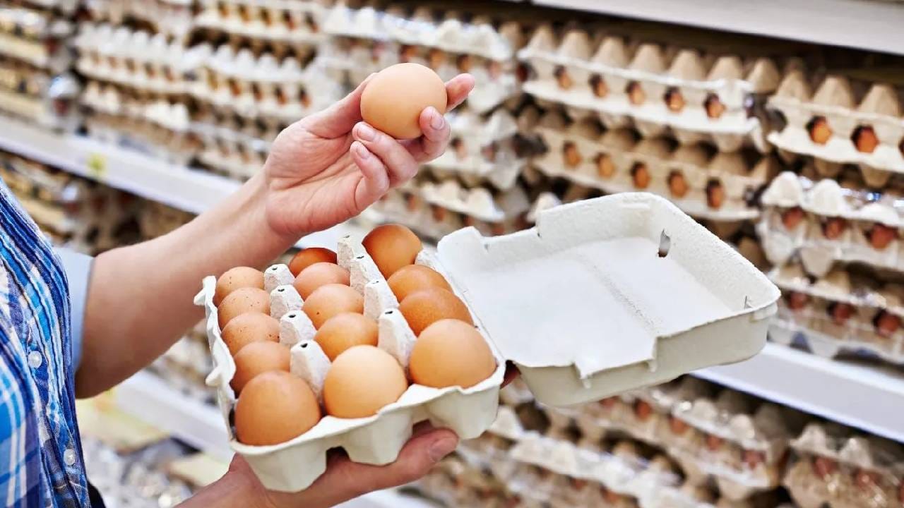 LPG सिलेंडरची टंचाई तर दुसरीकडे आनंदवार्ता धडकली, अंड्यांचे भाव का झाले कमी? का आली स्वस्ताई? LPG सिलेंडरची टंचाई तर दुसरीकडे आनंदवार्ता धडकली, अंड्यांचे भाव का झाले कमी? का आली स्वस्ताई?