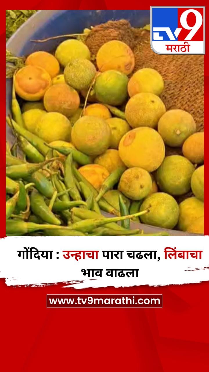 गोंदिया : उन्हाचा पारा चढला, लिंबाचा भाव वाढला