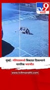 मुंबई : गोरेगावमध्ये बिबट्या दिसल्याने नागरिक भयभीत.