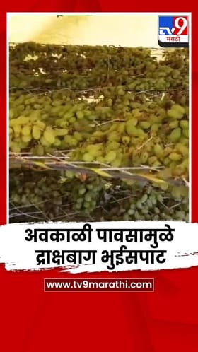 शासनाने लवकरात लवकर पंचनामे करून तातडीने मदत देण्याची शेतकऱ्यांची मागणी