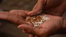 महाराष्ट्रात शासनमान्य गुटखा निर्मिती? सचिवाच्या भूमिकेमुळे प्रकरण....