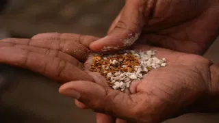 महाराष्ट्रात शासनमान्य गुटखा निर्मिती? सचिवाच्या भूमिकेमुळे प्रकरण थेट कोर्टात, याचिकेत नेमकं काय?