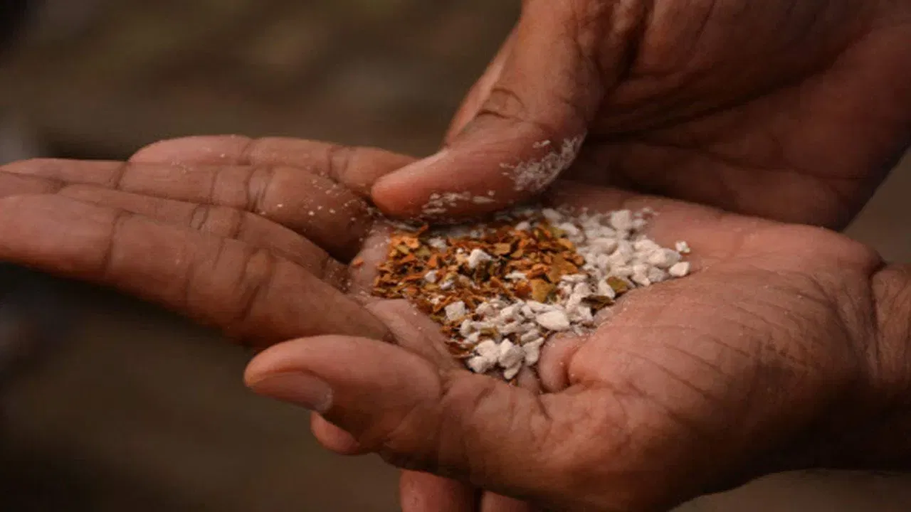 महाराष्ट्रात शासनमान्य गुटखा निर्मिती? सचिवाच्या भूमिकेमुळे प्रकरण थेट कोर्टात, याचिकेत नेमकं काय? महाराष्ट्रात शासनमान्य गुटखा निर्मिती? सचिवाच्या भूमिकेमुळे प्रकरण थेट कोर्टात, याचिकेत नेमकं काय?