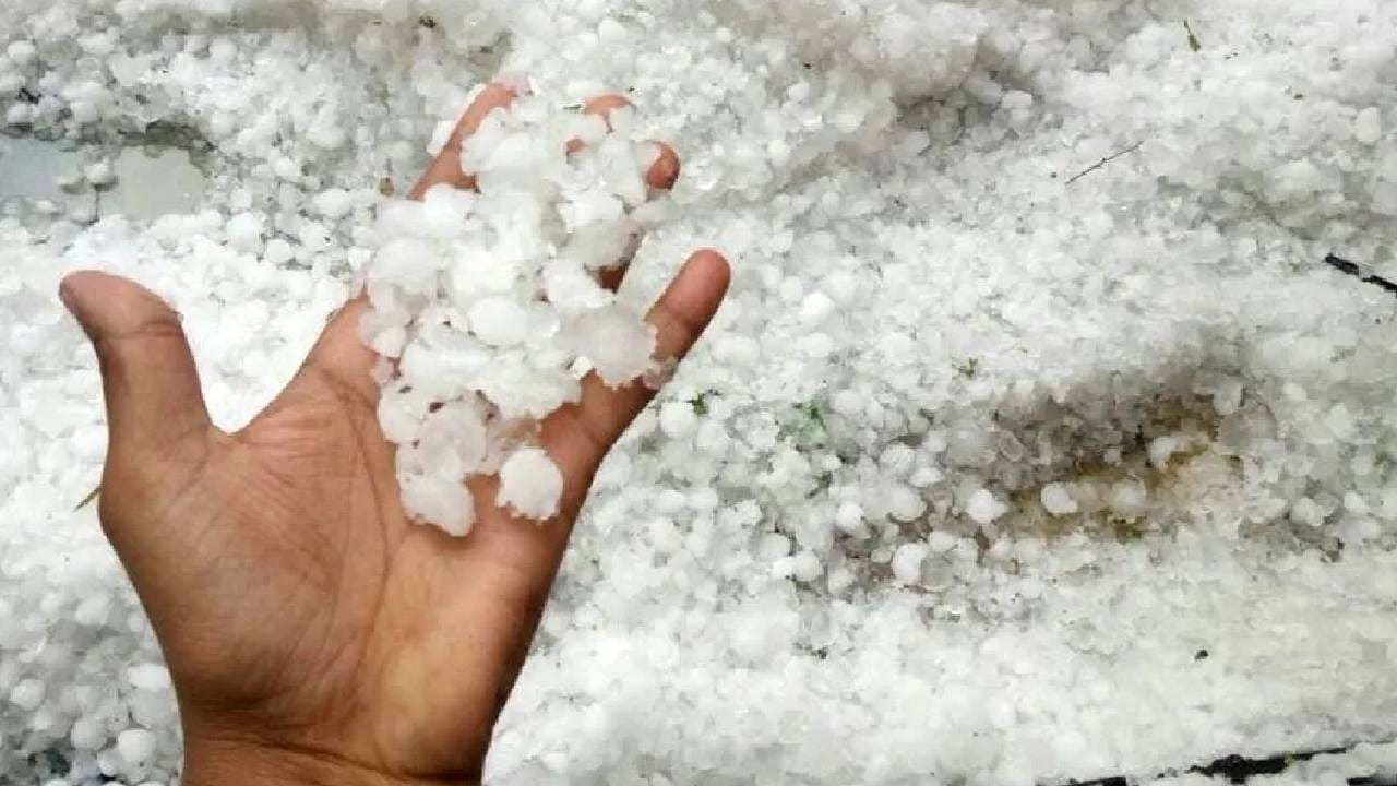 राज्यात गारपिटीचा हाहाकार! 12 जिल्ह्यांमध्ये संकट, थेट ऑरेंज अलर्ट, पुढील..