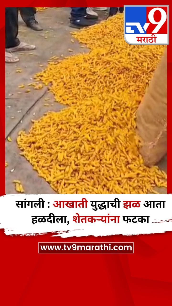 सांगली : आखाती युद्धाची झळ आता हळदीला, शेतकऱ्यांना फटका