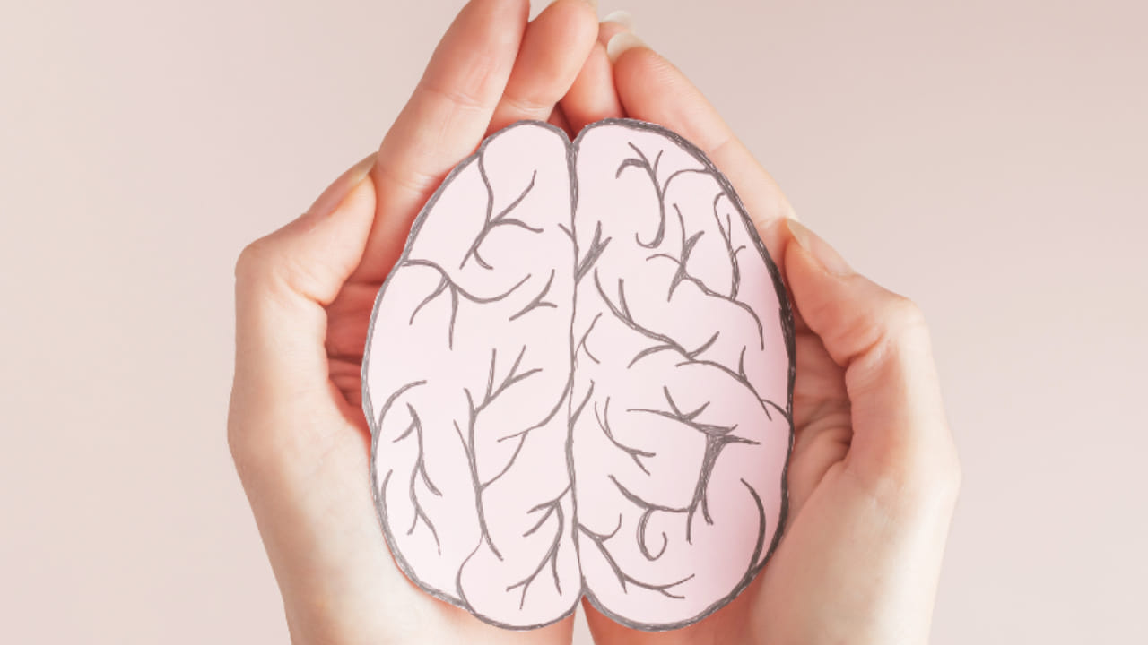 मेंदू निरोगी ठेवण्यासाठी तुमच्या आहारात या सुपरफूडचं करा समावेश मेंदू निरोगी ठेवण्यासाठी तुमच्या आहारात या सुपरफूडचं करा समावेश