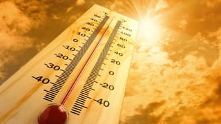 10 जिल्ह्यांमध्ये मोठ संकट, भारतीय हवामान विभागाचा थेट येलो अलर्ट, पुढील काही तास..