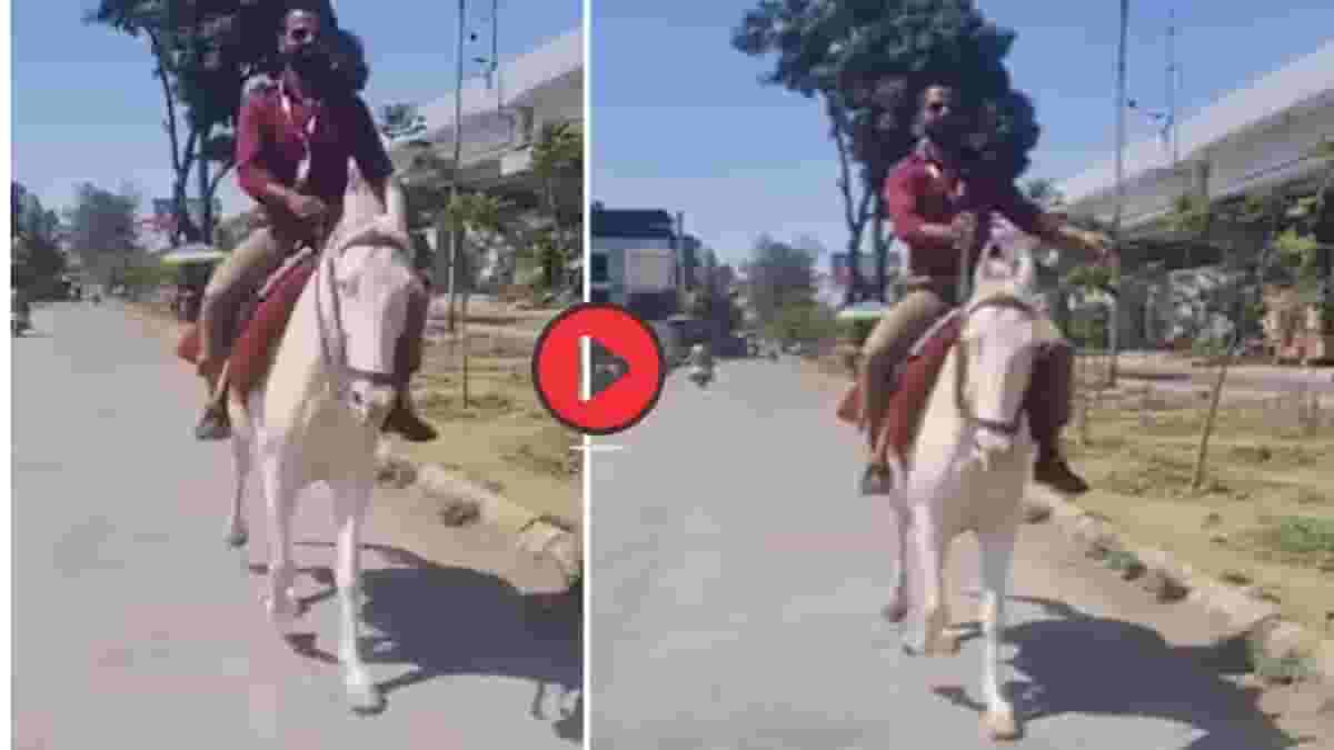 Video: पेट्रोल पंपावर लांबच्या लांब रांगा, पठ्ठ्याने केला भयानक जुगाड, थेट घोड्यावरुन पोहोचला ऑफिसला