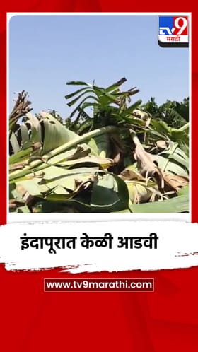 अवकाळी पावसाने केळी पिकाचे मोठं नुकसान, शेतकर्‍यांना मोठा फटका