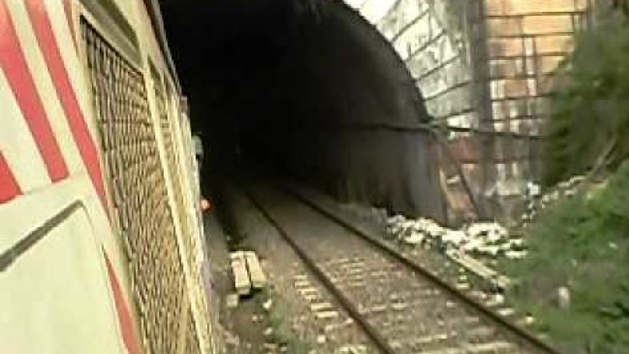 पारसिक रेल्वे बोगदा हा भारतातील सुरुवातीच्या आणि सर्वात महत्त्वाच्या रेल्वे बोगद्यांपैकी एक मानला जातो. हा बोगदा महाराष्ट्रातील ठाणे जिल्ह्यात असून तो ठाणे आणि दिवा यांच्या दरम्यान मुंबई–कल्याण मुख्य रेल्वे मार्गावर आहे.