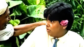 भारतातील सर्वात छोटी मालिका, 13 भागांमध्ये संपली कथा, पण आजही.....