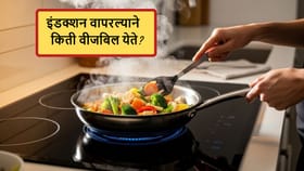 LPG टंचाईत इंडक्शनचा आधार, पण महिनाभर वापरल्यास वीज बिल किती येणार?.