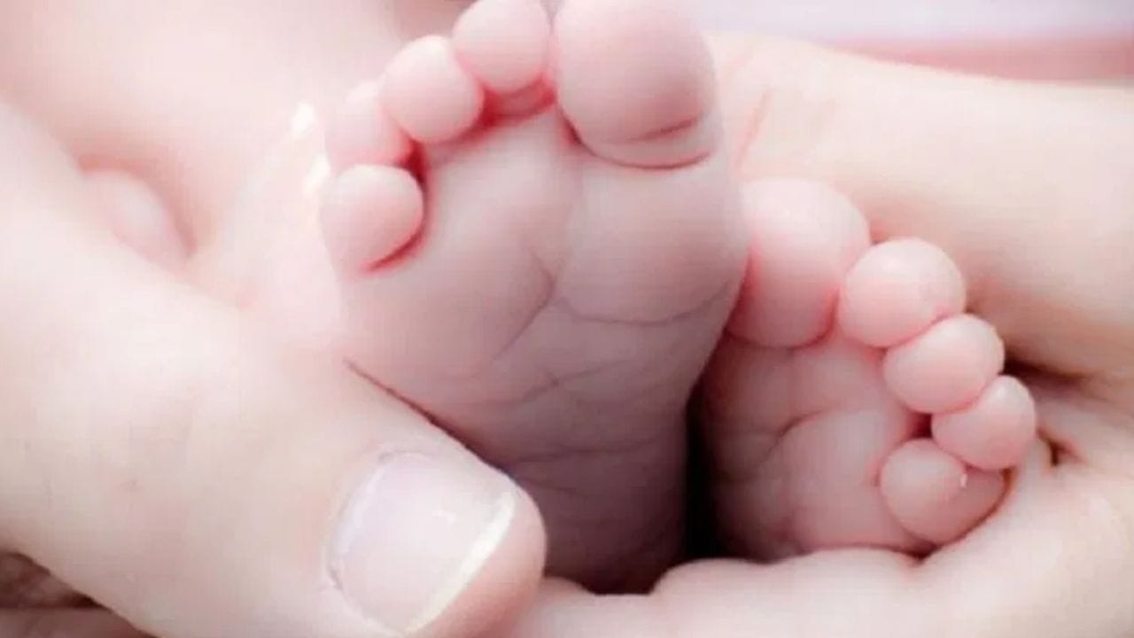 इराणमधील महिला कितव्या वर्षी पहिल्यांदा मुलाला जन्म देतात? फर्टिलिटी रेट काय? सगळंच चक्रावून टाकणारं इराणमधील महिला कितव्या वर्षी पहिल्यांदा मुलाला जन्म देतात? फर्टिलिटी रेट काय? सगळंच चक्रावून टाकणारं