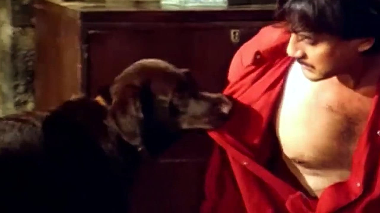 'तेरी मेहरबानींया' हा चित्रपट त्या काळात सुमारे 1.20 कोटी रुपयांच्या बजेटमध्ये तयार करण्यात आला होता. चित्रपटाने भारतात सुमारे 2.48 कोटी रुपयांची कमाई केली तर जागतिक स्तरावर त्याची कमाई सुमारे 4 कोटी रुपयांपर्यंत पोहोचली. त्यामुळे हा चित्रपट बॉक्स ऑफिसवर सुपरहिट ठरला.