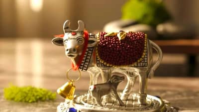 घरात कामधेनू गायीची मूर्ती ठेवण्याची योग्य दिशा माहितीये? जाणून घ्या, होईल फायदा