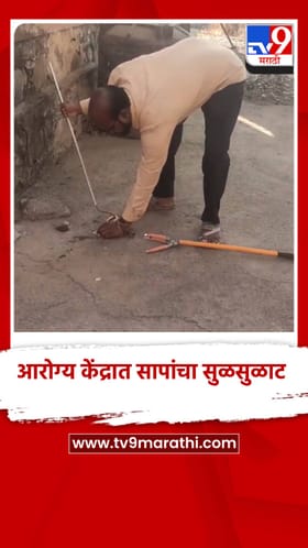 कुऱ्हा येथील प्राथमिक आरोग्य केंद्रात सापांचा सुळसुळाट.