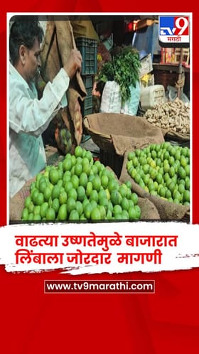 चाळीसगाव तालुक्यात उन्हाळा सुरू होताच लिंबांच्या मागणीत वाढ