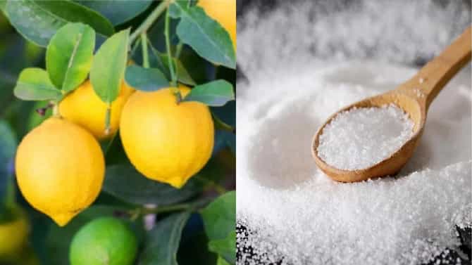 घरातील नकारात्मकता दूर करण्यासाठी मीठ आणि लिंबाचा असा करा वापर