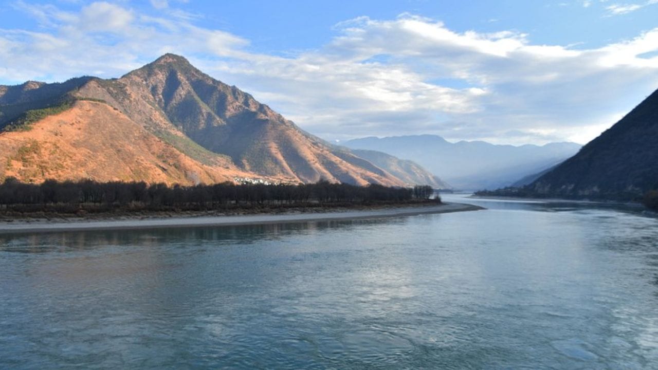 यांगत्से नदी जैवविविधतेसाठीही अत्यंत महत्त्वाची आहे. येथे अनेक दुर्मिळ प्रजाती आढळतात, यात यांगत्झे फिनलेस पॉरपॉइज आणि चायनीज पॅडलफिशचा समावेश आहे. 