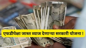 या सरकारी योजना एफडीपेक्षा देतात जास्त व्याज, जाणून घ्या टॉप गुंतवणूक.