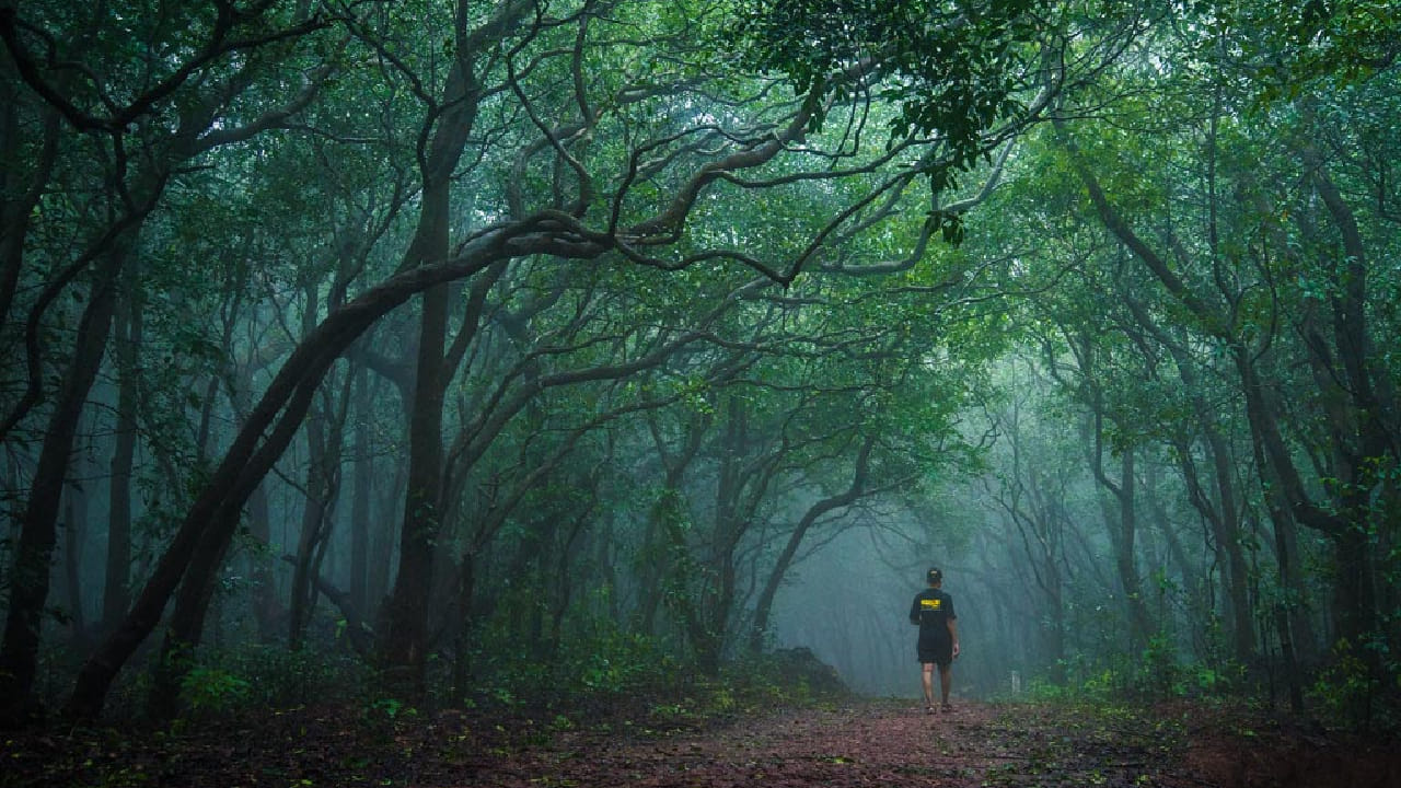 देशात अनेक प्रसिद्ध हिल स्टेशन आहेत, ज्यांची स्वतःची वेगळी ओळख आहे. त्यापैकीच एक अत्यंत सुंदर आणि लोकप्रिय हिल स्टेशन म्हणजे महाराष्ट्रातील माथेरान.