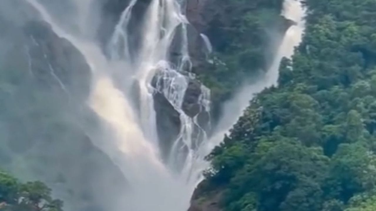 प्रसन्न वातावरण : ही नदी कर्नाटकातील कोलार जिल्ह्यात वाहते, हा परिसर हिरव्यागार डोंगररांगांनी वेढलेला आहे. पावसाळ्यात येथे दिसणारा नजारा एखाद्या हिल स्टेशनपेक्षा कमी नाही. थंड वारा, वाहते पाणी आणि धुक्याने झाकलेले डोंगर हे सर्व मिळून मन प्रसन्न करणारे वातावरण तयार करतात.