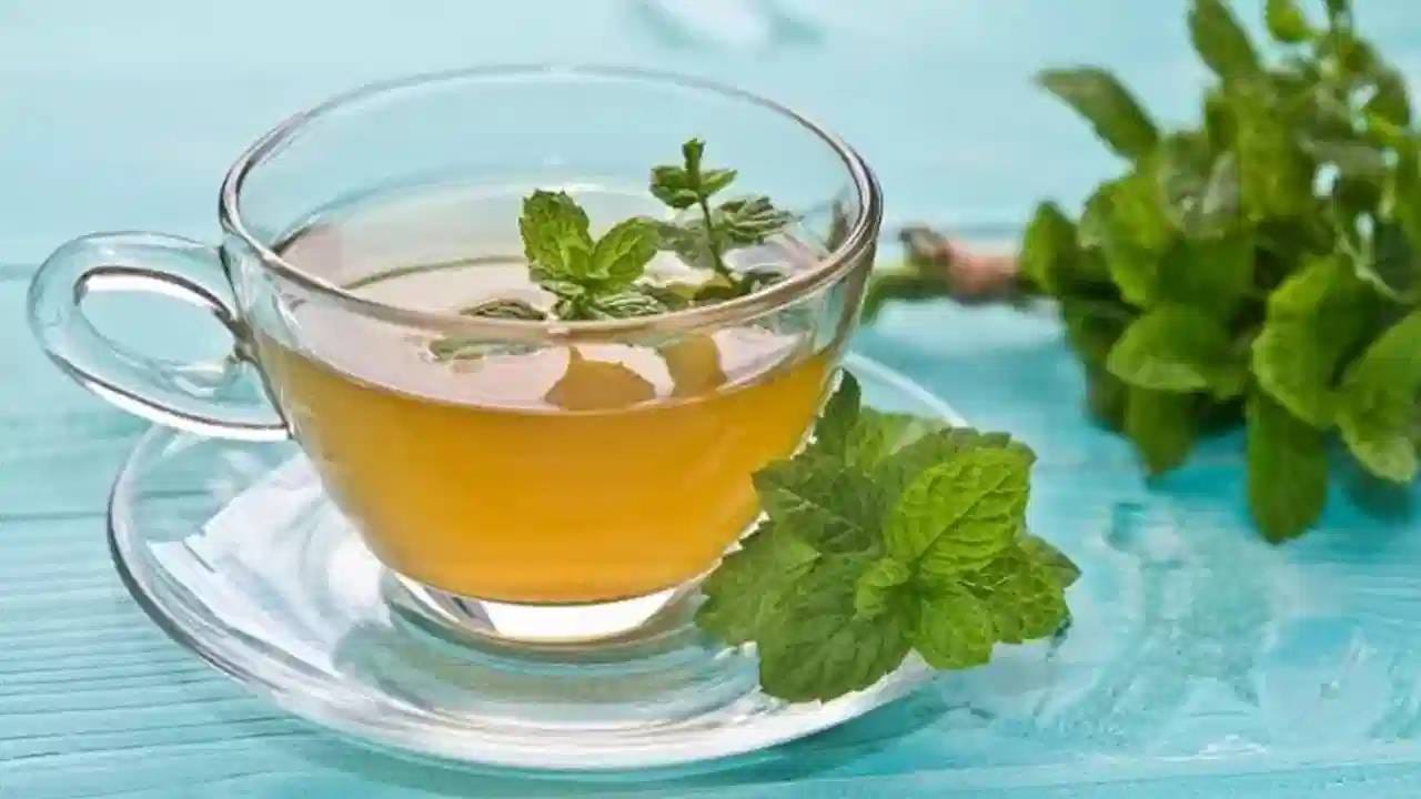  ज्या लोकांना तीव्र ॲसिड रिफ्लक्सचा त्रास आहे त्यांनी ते टाळावे. कारण त्यांना ॲसिड रिफ्लक्सचा त्रास अधिक होऊ शकतो. पुतिना आपल्या आरोग्यासाठी फायदेशीर आहे. 