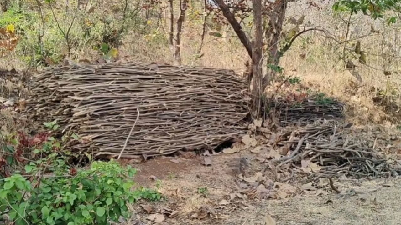 संभाव्य जागतिक इंधन संकटावर मात करण्यासाठी या तीन गावांनी उचललेले हे पाऊल केवळ जिल्ह्यासाठीच नव्हे, तर संपूर्ण राज्यासाठी प्रेरणादायी ठरत आहे. या गावांच्या या निर्णयाचे सर्वच स्तरातून कौतुक होत आहे.