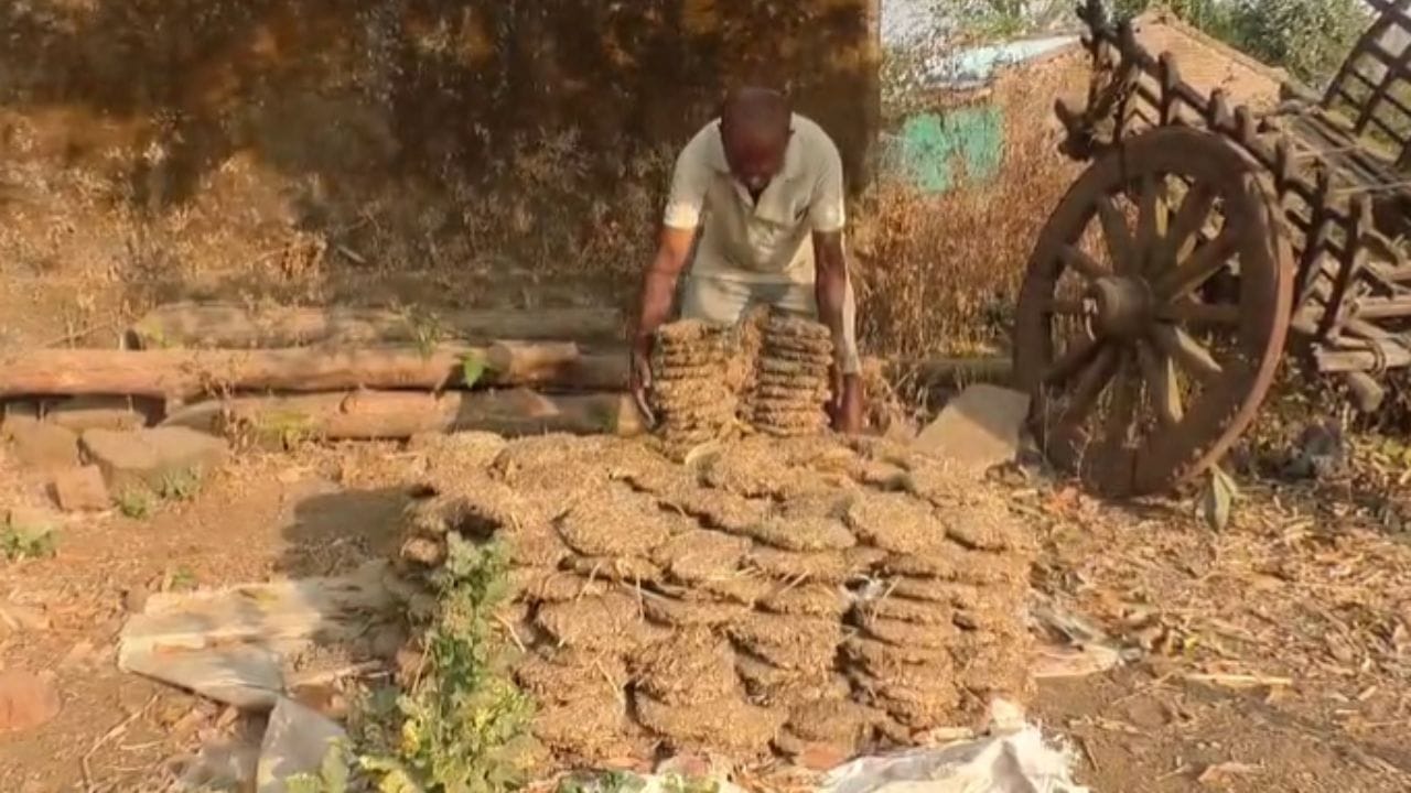 बारीपाडा, मोहगाव आणि चावडीपाडा या तीन गावांत सुमारे 4000 एवढी लोकसंख्या आहे, त्यापैकी 400 घरांमध्ये गॅस शेगड्या आहेत. मात्र या गॅस स्वयंपाक करणार नाही असा निर्णय गावकऱ्यांनी घेतला असून येणाऱ्या सहा महिन्यांपूर्वी पुढे देखील इंधनाची टंचाई भासल्यास हा निर्णय कायम ठेवणार असल्याचा अत्यंत महत्त्वपूर्ण निर्णय घेत देशाला आदर्श घालून दिला आहे.