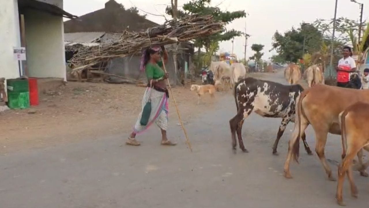पद्मश्री चेतराम पवार यांच्या मार्गदर्शनाने तीनही गावांनी बैठक घेत पुढच्या सहा महिन्यापर्यंत एलपीजी गॅस न वापरण्याचा ऐतिहासिक निर्णय घेतला असून या काळामध्ये जंगलातील वाळलेले लाकडं आणि शेना पासून बनवलेल्या गौऱ्यांचा इंधन म्हणून वापर हे गावकरी करणार आहेत.
