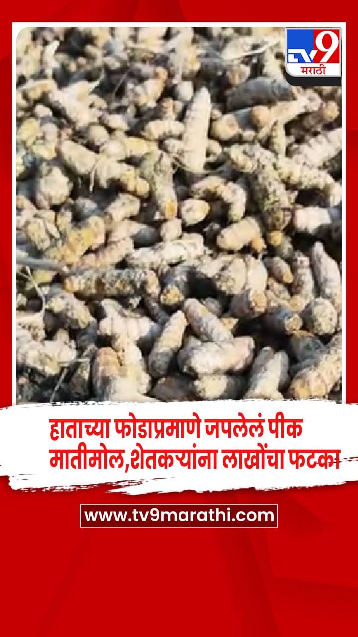 नांदेड - हाताच्या फोडाप्रमाणे जपलेलं पीक मातीमोल, शेतकऱ्यांचं लाखोंचं नुकसान