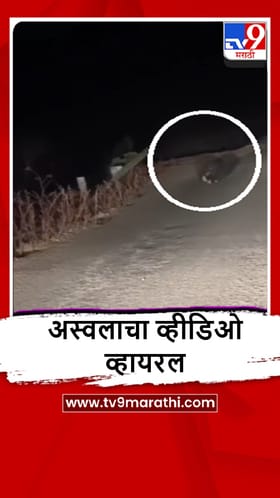 Nandurbar : चांदसैली घाटात अस्वलाचा वावर, स्थानिकांमध्ये भीती