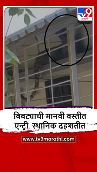 Nashik : सातपूर परिसरातील शिवाजी नगरमध्ये बिबट्या घुसला