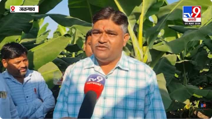 Jalgaon News | अमेरिका-इराण तणावाचा फटका; जळगावची केळी निर्यात ठप्प, शेतकरी संकटात Jalgaon News | अमेरिका-इराण तणावाचा फटका; जळगावची केळी निर्यात ठप्प, शेतकरी संकटात