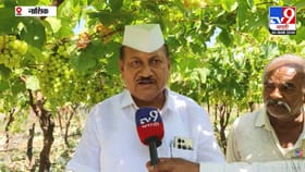 अमेरिका-इस्रायल-इराण युद्धाचा द्राक्ष निर्यातीवर परिणाम नाही.