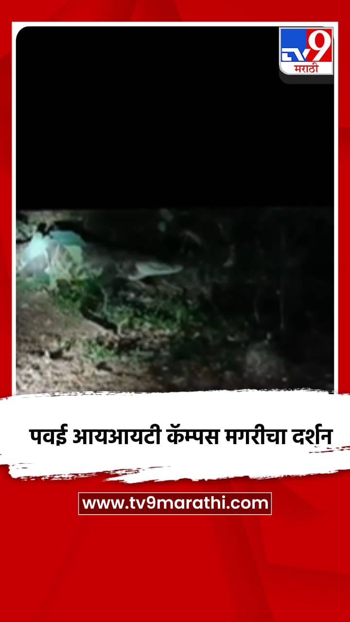 पवई आयआयटी कॅम्पस मगरीचा दर्शन