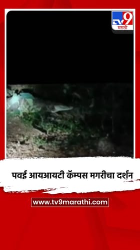 पवई आयआयटी कॅम्पस मगरीचा दर्शन.