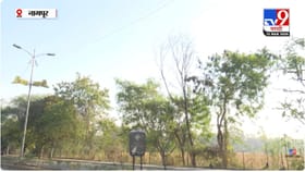 विदर्भ भयंकर तापला, उष्णतेच्या लाटेने घराबाहेर पडणं मुश्किल.