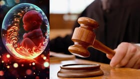 पती नको, परंतू त्याच्या स्पर्मपासून मुल हवे, महिलेची कोर्टात धाव.