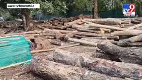 सिंधुदुर्ग जिल्ह्यात गॅस तुटवड्यानंतर आणखी एक मोठं संकट