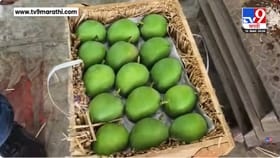 गुढीपाडव्याच्या मुहूर्तावर APMC मार्केटमध्ये आंब्याच्या पेट्या दाखल.