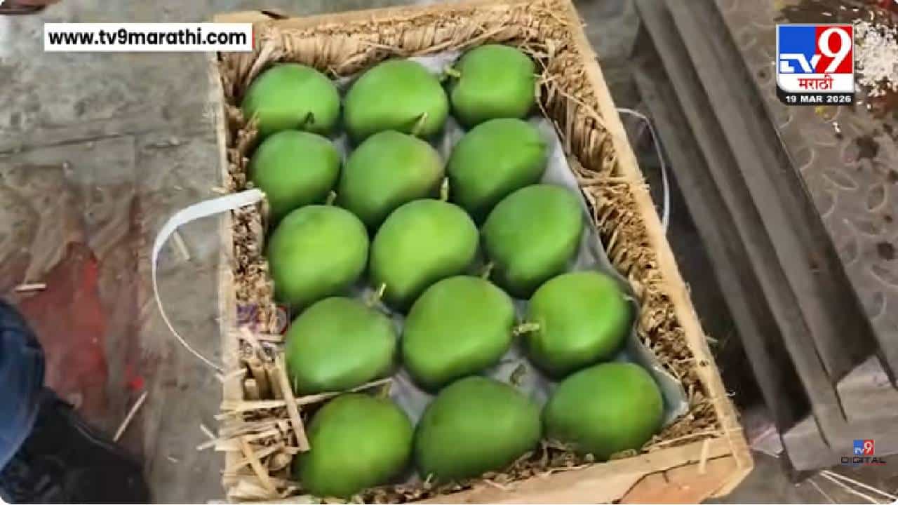Navi Mumbai | गुढीपाडव्याच्या मुहूर्तावर APMC फळबाजारात दहा हजार आंब्याच्या पेट्या दाखल