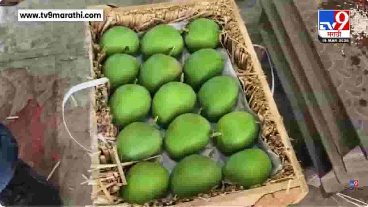 Navi Mumbai | गुढीपाडव्याच्या मुहूर्तावर APMC फळबाजारात दहा हजार आंब्याच्या पेट्या दाखल