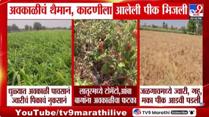 अवकाळी पाऊस आणि गारपिटीमुळे शेतकऱ्यांचे मोठे नुकसान; तात्काळ भरपाईची मागणी अवकाळी पाऊस आणि गारपिटीमुळे शेतकऱ्यांचे मोठे नुकसान; तात्काळ भरपाईची मागणी
