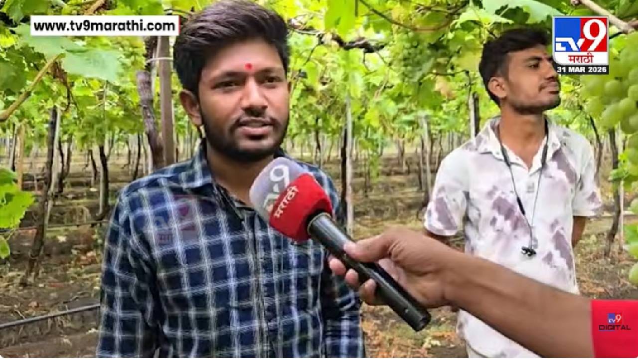 Jalna Unseasonal Rain Loss | द्राक्ष बागांना अवकाळीचा फटका, 60 टक्के पिक गेलं