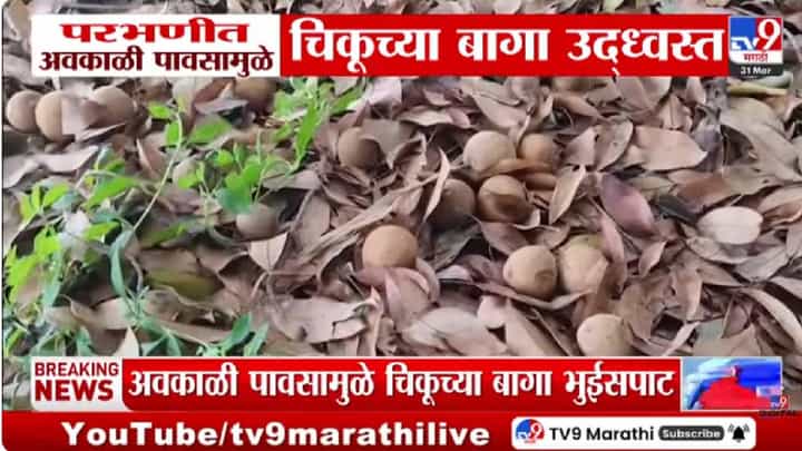 Ashok Kharat Case | परभणी जिल्ह्यात अवकाळी पावसाचा फटका; आंबा, चिकू व ज्वारी पिकांचे नुकसान Ashok Kharat Case | परभणी जिल्ह्यात अवकाळी पावसाचा फटका; आंबा, चिकू व ज्वारी पिकांचे नुकसान