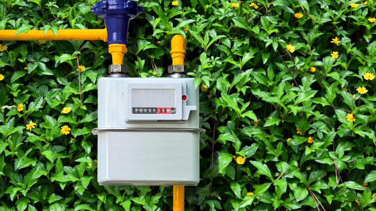 PNG चा फुल फॉर्म Piped Natural Gas असा होतो. PNG हा देखील नैसर्गिक वायूच आहे, जो पाईपलाईनद्वारे थेट ग्राहकांपर्यंत पोहोचवला जातो. जेव्हा नैसर्गिक वायू घरांमध्ये किंवा उद्योगांमध्ये पाईपद्वारे पुरवला जातो, तेव्हा त्याला 'पाईप्ड नॅचरल गॅस' म्हणतात.