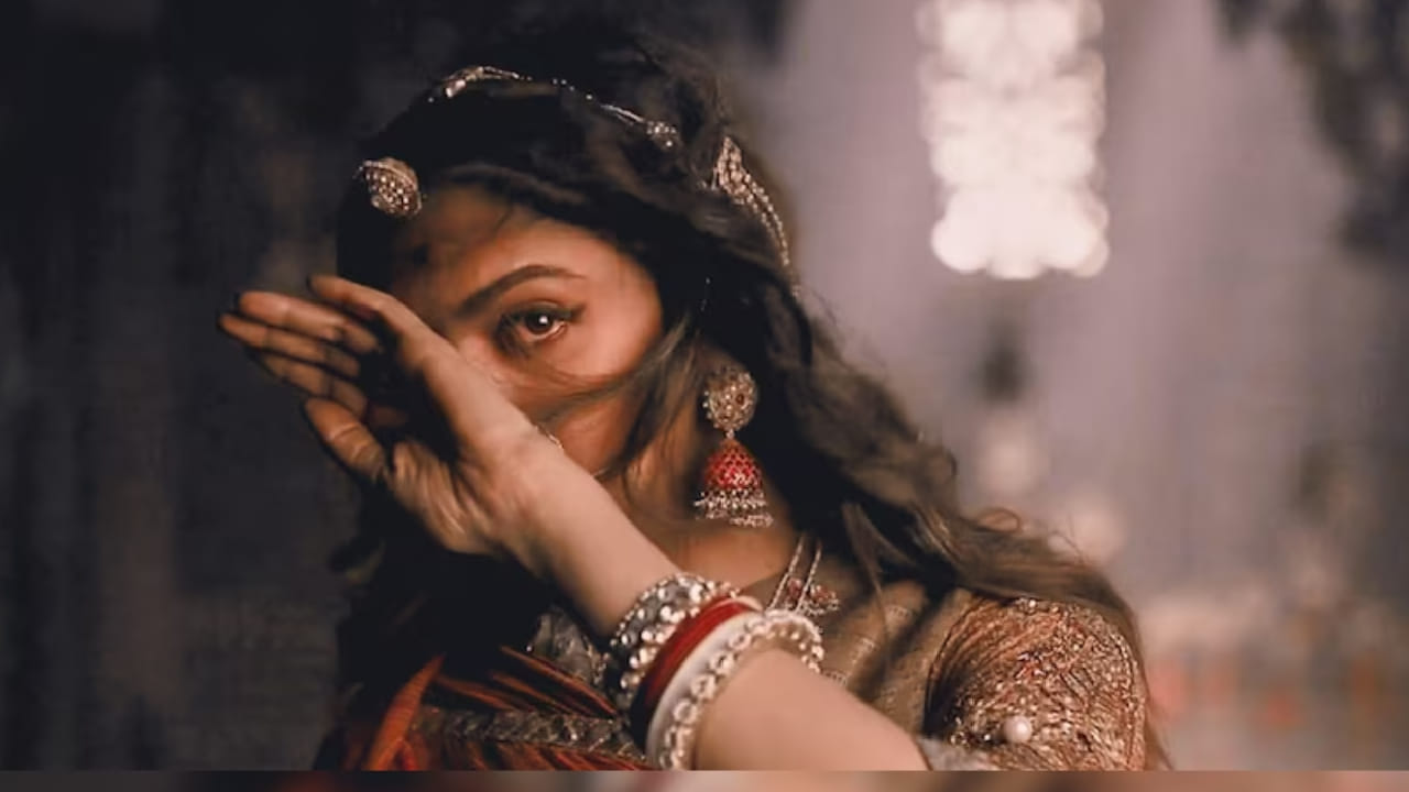 सुरुवातीला चित्रपट वादात सापडला पण त्यानंतर ‘पद्मावत’ जेव्हा बॉक्स ऑफिसवर प्रदर्शित झाला तेव्हा तो प्रचंड हिट ठरला. सुमारे 215 कोटी रुपयांच्या बजेटमध्ये तयार झालेल्या या चित्रपटाने भारतात सुमारे 302 कोटी रुपयांची कमाई केली. तर जगभरता 572 कोटी रुपयांची कमाई केली. 